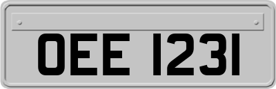 OEE1231