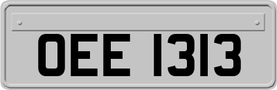 OEE1313