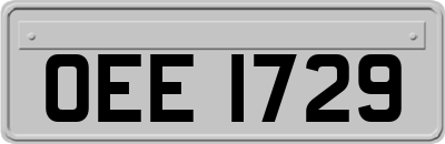 OEE1729
