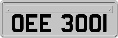 OEE3001