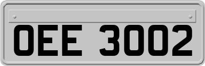 OEE3002