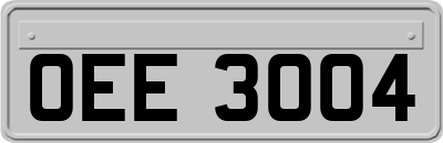 OEE3004