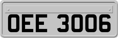 OEE3006