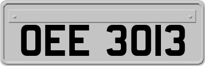 OEE3013