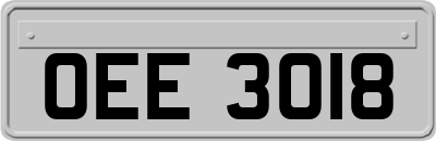 OEE3018