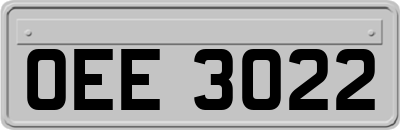 OEE3022