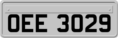 OEE3029