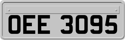 OEE3095