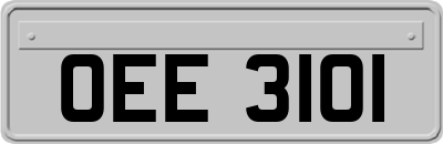 OEE3101