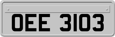 OEE3103