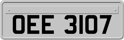 OEE3107