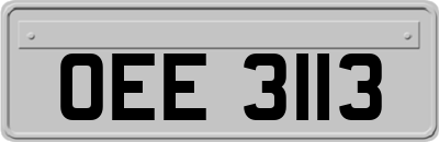 OEE3113