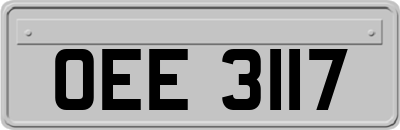 OEE3117