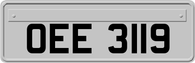 OEE3119