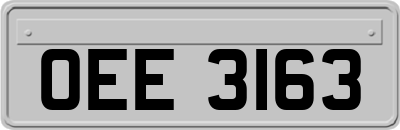 OEE3163