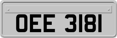 OEE3181