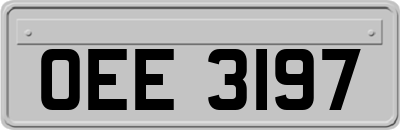 OEE3197