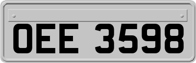 OEE3598