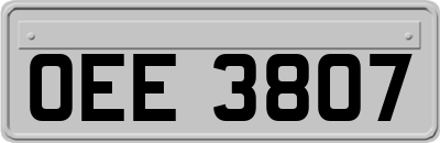 OEE3807