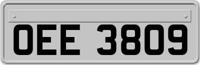OEE3809