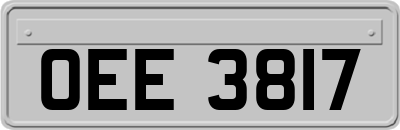 OEE3817