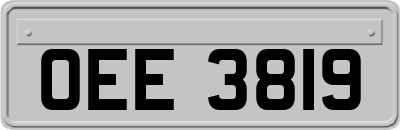 OEE3819