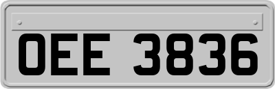 OEE3836