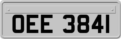 OEE3841