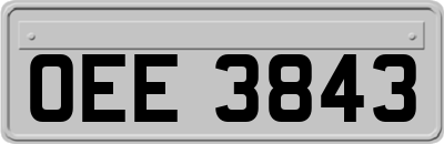 OEE3843