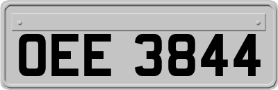 OEE3844