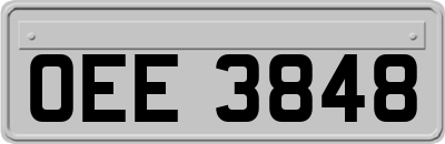 OEE3848