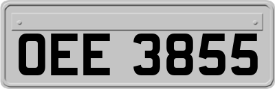 OEE3855