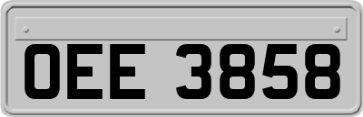 OEE3858