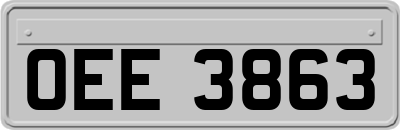 OEE3863
