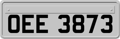 OEE3873