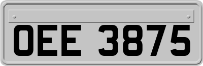 OEE3875
