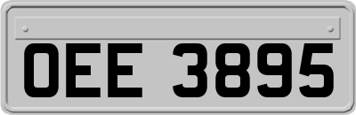 OEE3895