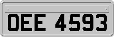 OEE4593