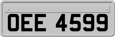 OEE4599