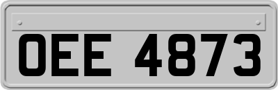 OEE4873