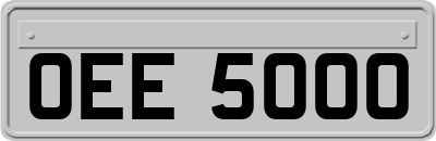 OEE5000
