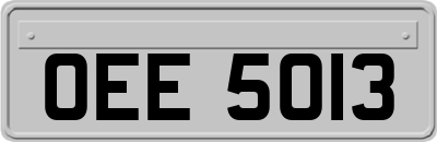 OEE5013
