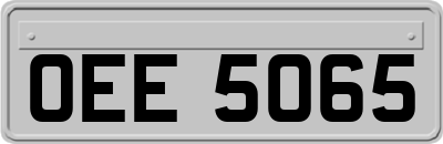OEE5065