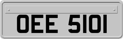 OEE5101