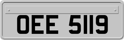 OEE5119