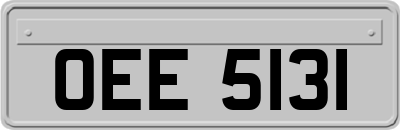 OEE5131