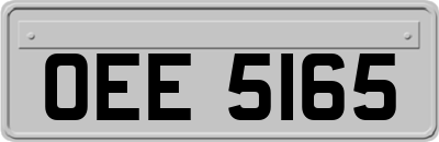 OEE5165
