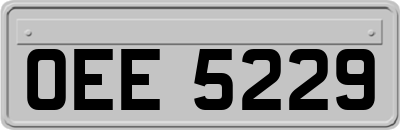 OEE5229