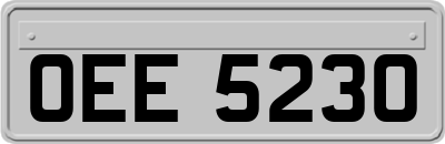 OEE5230