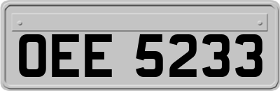 OEE5233